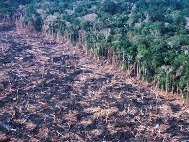 Advertencia a Brasil de organismos financieros