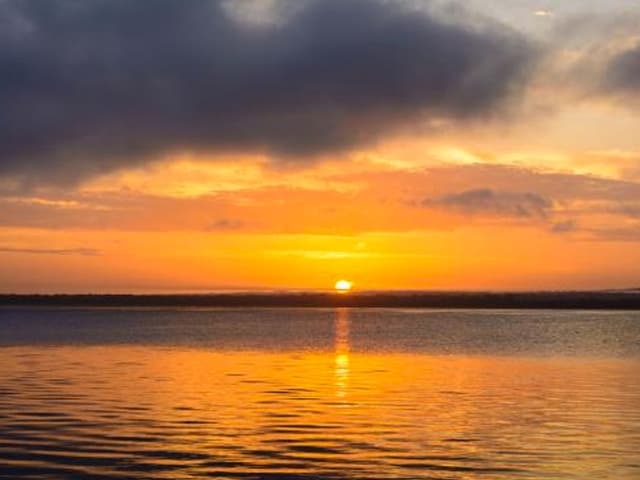 Del shock masivo a una recuperación sectorial  