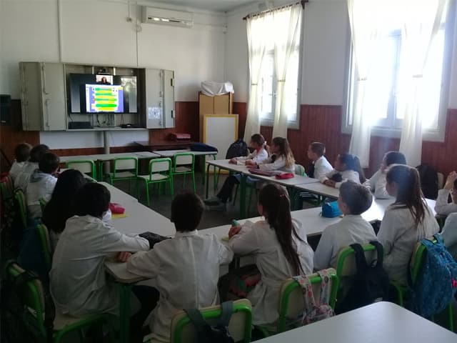 Cómo es un modelo de educación a distancia