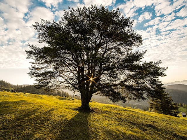 Argentina entra en default ambiental