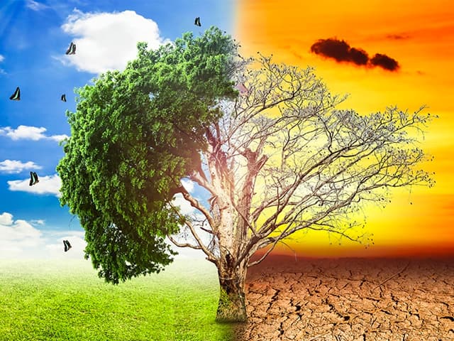 Hora de declarar emergencia climática planetaria