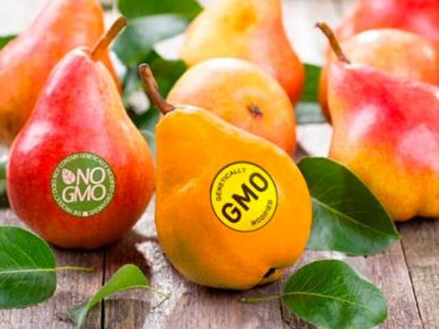 Tras 25 años, impacto de los cultivos transgénicos