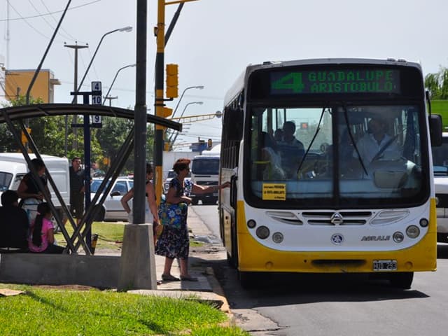Reducir la polución imitando a las hormigas