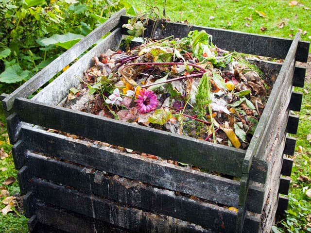 El consumo sustentable se duplicó en toda la región