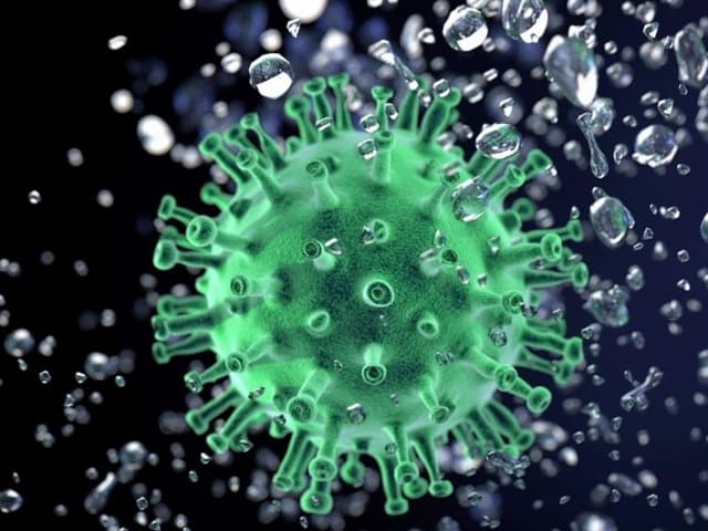Virus: 18 millones de casos en todo el mundo