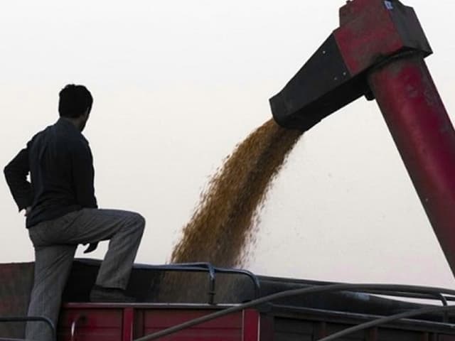 El clima conspira contra la generación de divisas el año próximo