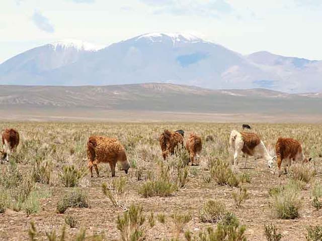 Argentina entra en default ambiental