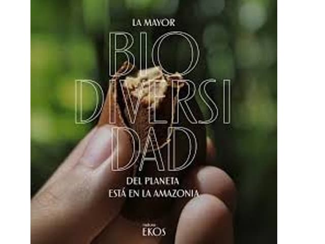 En el día de la Amazonia, Natura lanza la campaña #SomosUnaMismaNaturaleza