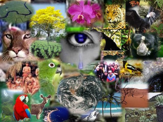 Latinoamérica, la región con menor biodiversidad