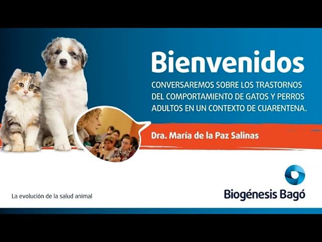 Biogénesis Bagó presenta su nueva división Animales de compañía