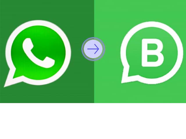 Como usar WhatsApp Business para navegar la nueva normalidad