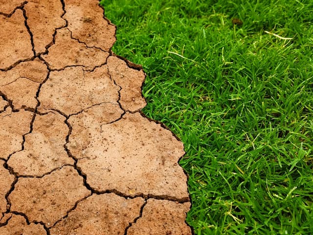 BCG reducirá a cero su impacto climático en 2030