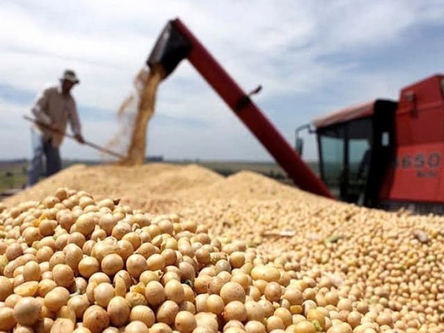 China mete presión en  el mercado de la soja
