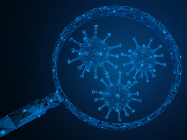 Comienzan a probar vacunas