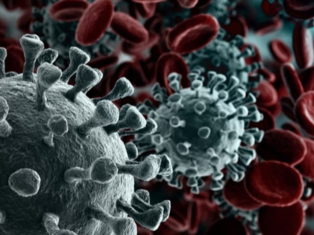 Se refuerza la teoría que dice que la inmunidad va desapareciendo