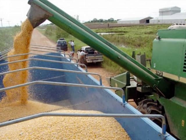 Exportaciones: cayeron más del 21% en octubre