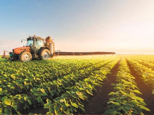 Sube el precio de la soja y de todos los granos