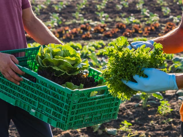 Aporte alemán a FIDA para  evitar una crisis alimentaria
