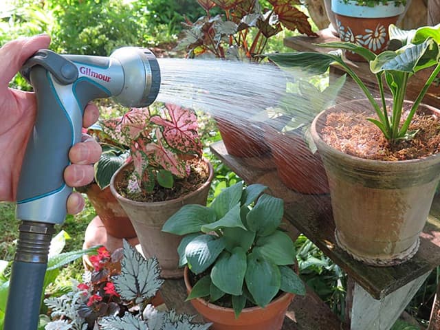 Un año en que ganaron los hogares