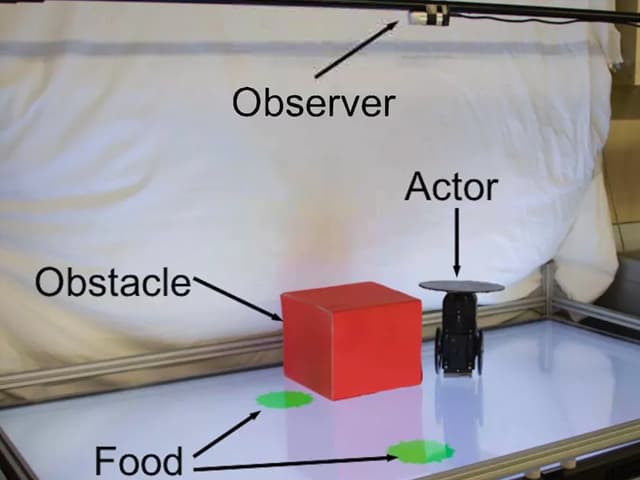 Un robot mostró un atisbo de empatía hacia otro robot