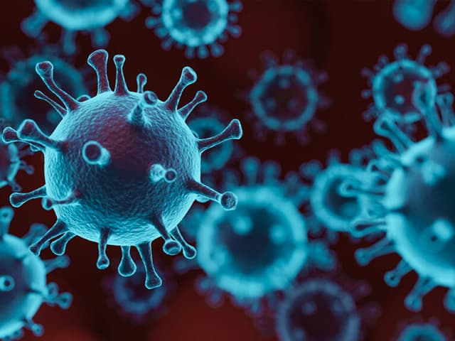 Entendamos las variantes del virus