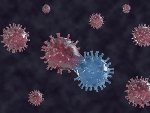 Estudian mutación del virus en términos de semántica