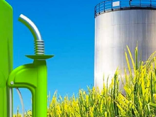 Expectativa del sector por la ley de biocombustibles