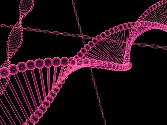 Avanza indetenible la  revolución biológica