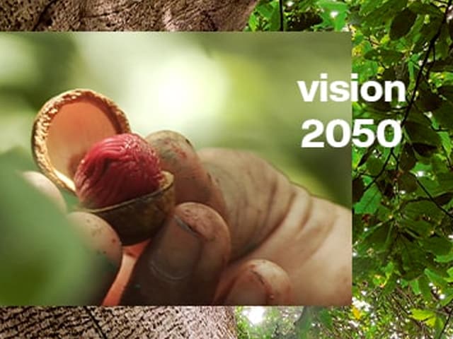 Desarrollo Sustentable Visión 2050 refuerza la importancia de un futuro más sustentable y próspero