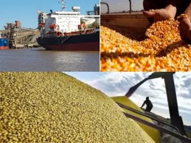 ¿El fin del ciclo alcista en materias primas agrícolas?