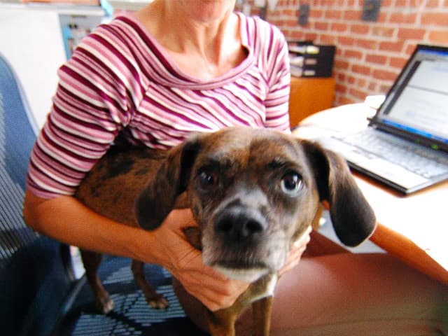 Los beneficios, factor clave para atraer y retener talento