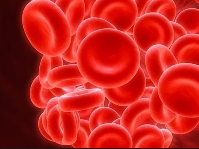 En el Día de la Hemofilia, el combate contra el mal