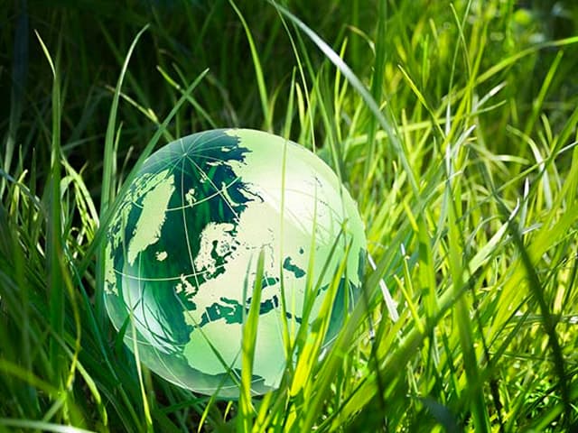 Día de la Tierra: ¿Puede  la humanidad ser sostenible?