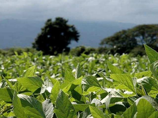 Un nuevo superciclo en el  precio de los commodities