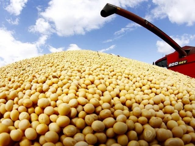 Lluvia de divisas en el  país del corto plazo  