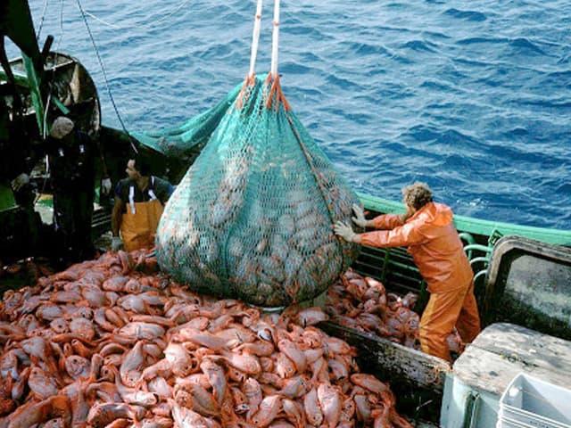 Contratación estable a  pesar de la segunda ola