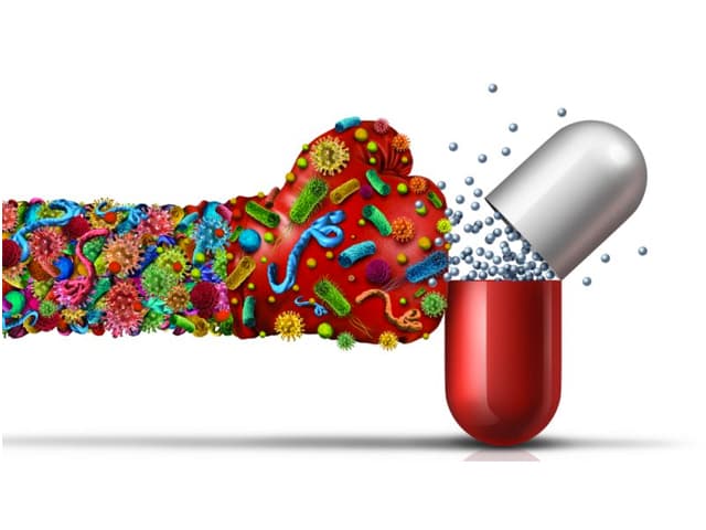 La próxima pandemia ya está aquí