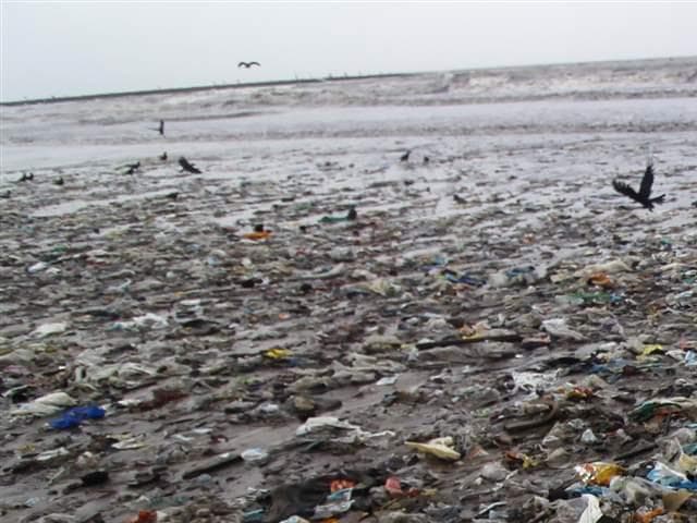 El plástico que envuelve la comida para llevar es un gran contaminador de los océanos.