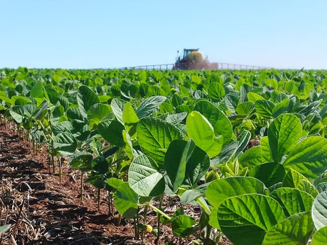 Con la soja ya no alcanza para sostener las reservas
