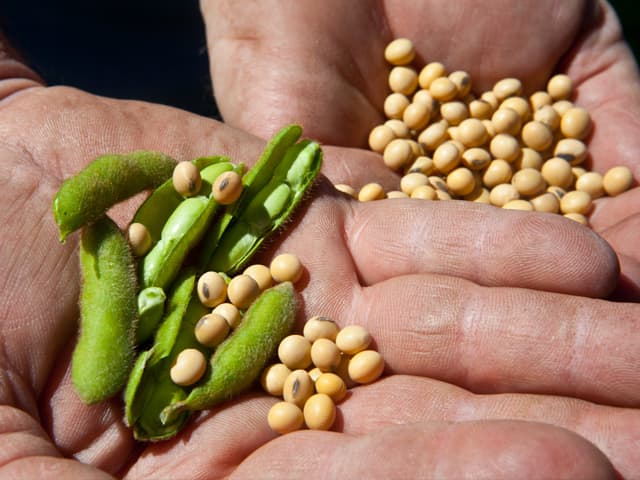 El nuevo superciclo de los  commodities es un llamado