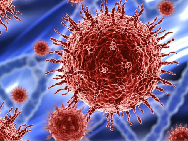 El virus ha matado a 3,5 millones de personas en todo el mundo