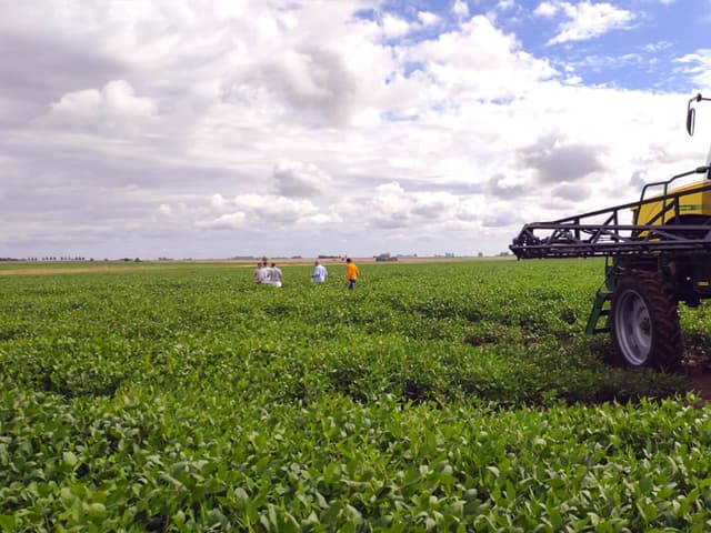Bienes durables y el agro lideran el rebote en 2021