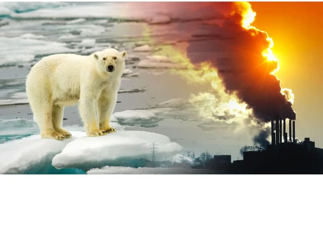 Los cuatro pilares  de una crisis global