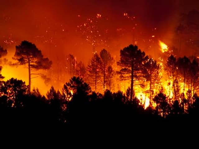 La era de los incendios que no se pueden apagar