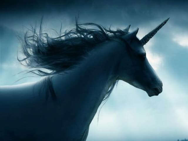 Economía digital y las empresas tecnológicas