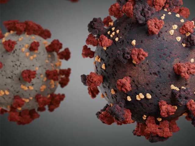 Las vacunas ¿son efectivas contra la variante Delta?