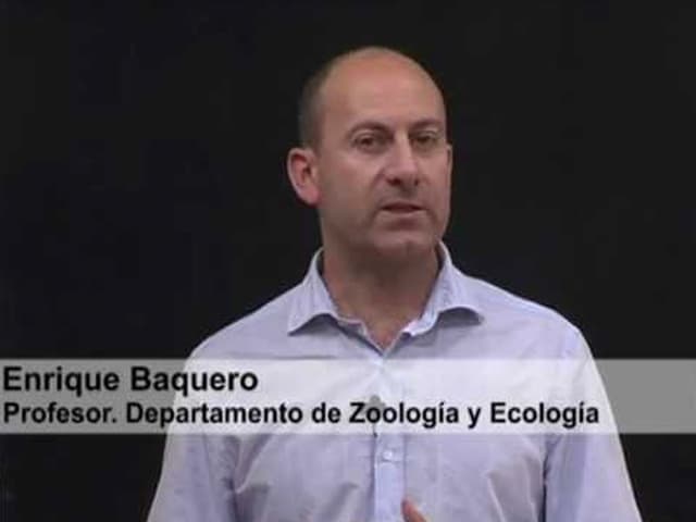 Ninguna dieta es perfecta, pero puede ser sostenible y saludable