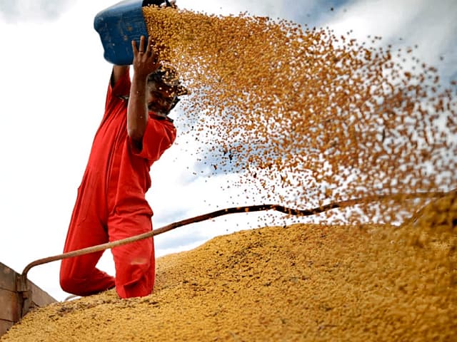 Comienza a declinar la  generación de agrodólares