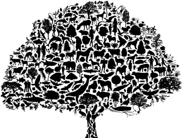 El futuro espera en los ecosistemas colaborativos