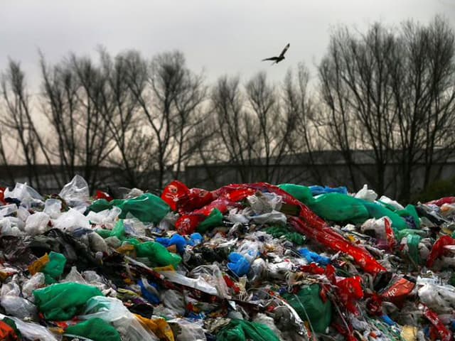 Cómo ahorrar dinero ayudando al ambiente